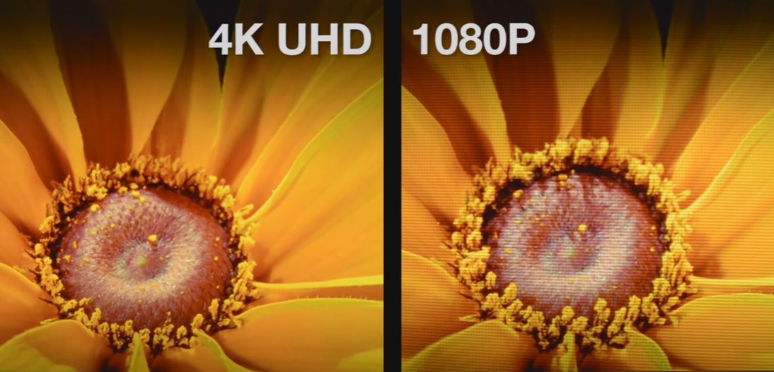 Monitory 4K i 1080p: który ekran najlepiej odpowiada Twoim potrzebom - zdjęcie
